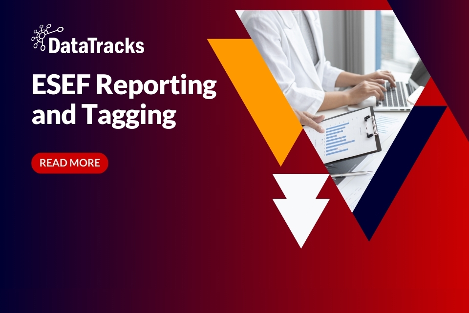 ESEF Reporting and Tagging: Best Practices for Ensuring Compliance in 2024