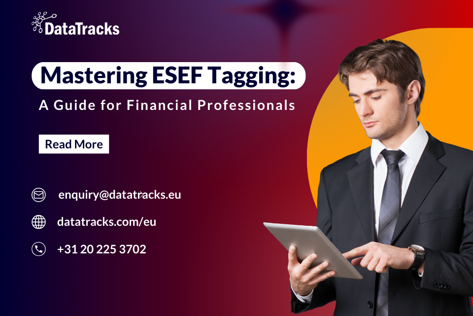 Mastering ESEF Tagging: A Guide for Financial Professionals